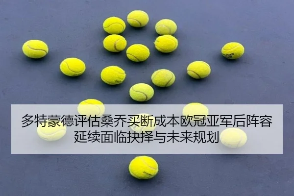 多特蒙德评估桑乔买断成本欧冠亚军后阵容延续面临抉择与未来规划