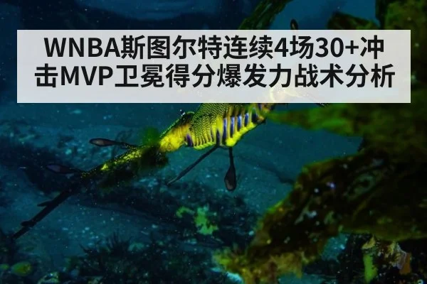 WNBA斯图尔特连续4场30+冲击MVP卫冕得分爆发力战术分析
