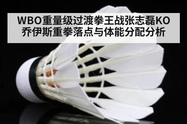 WBO重量级过渡拳王战张志磊KO乔伊斯重拳落点与体能分配分析